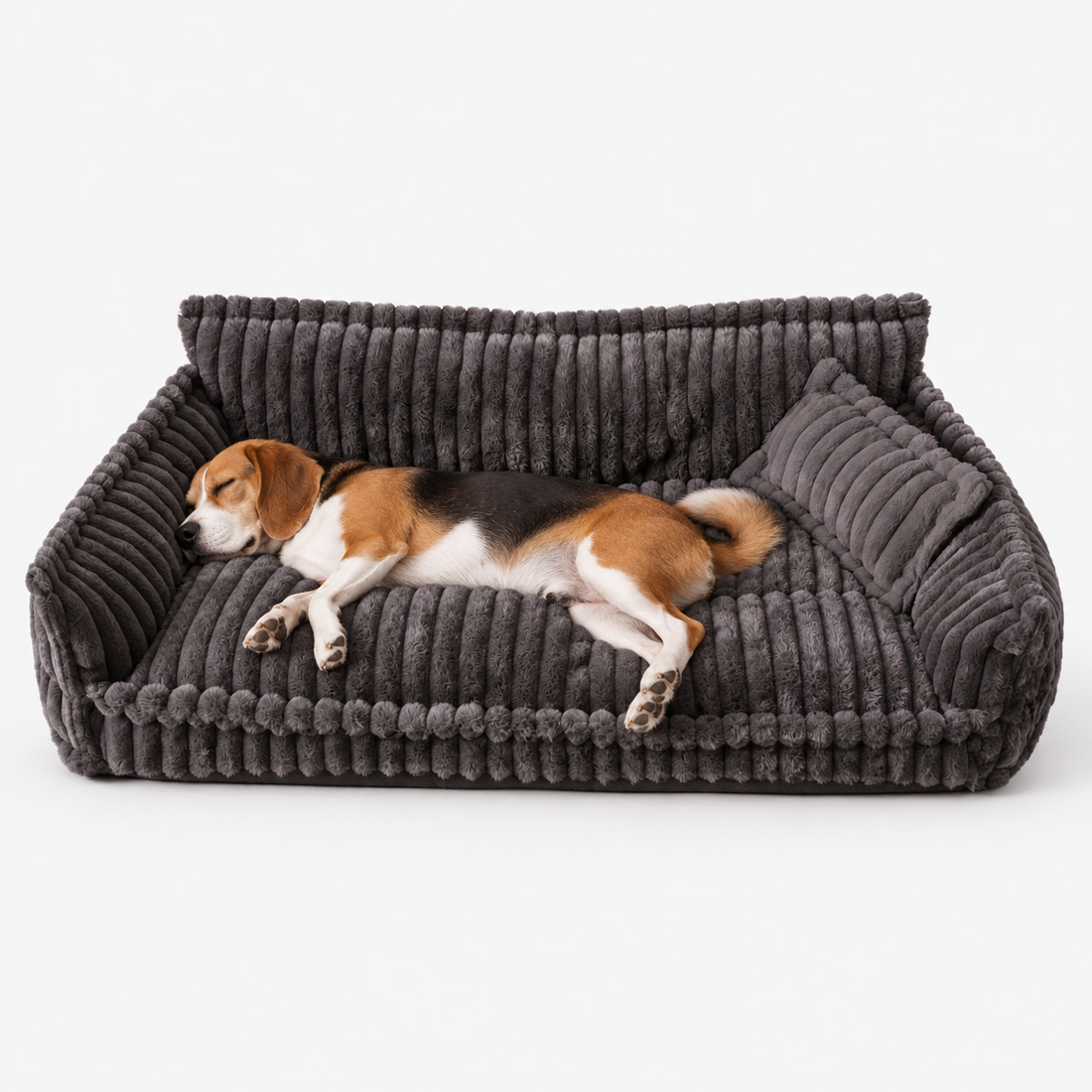 Hundesofa oder Hundebett: welcher Schlafplatz passt zu welchem Hund?