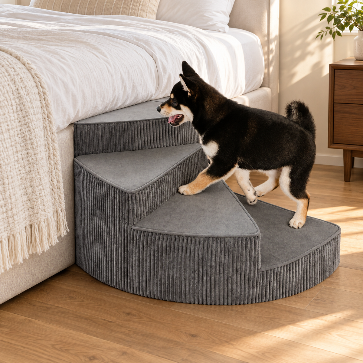 Hundetreppe für Sofa und Bett: wann sie sinnvoll ist und welche Höhe passt