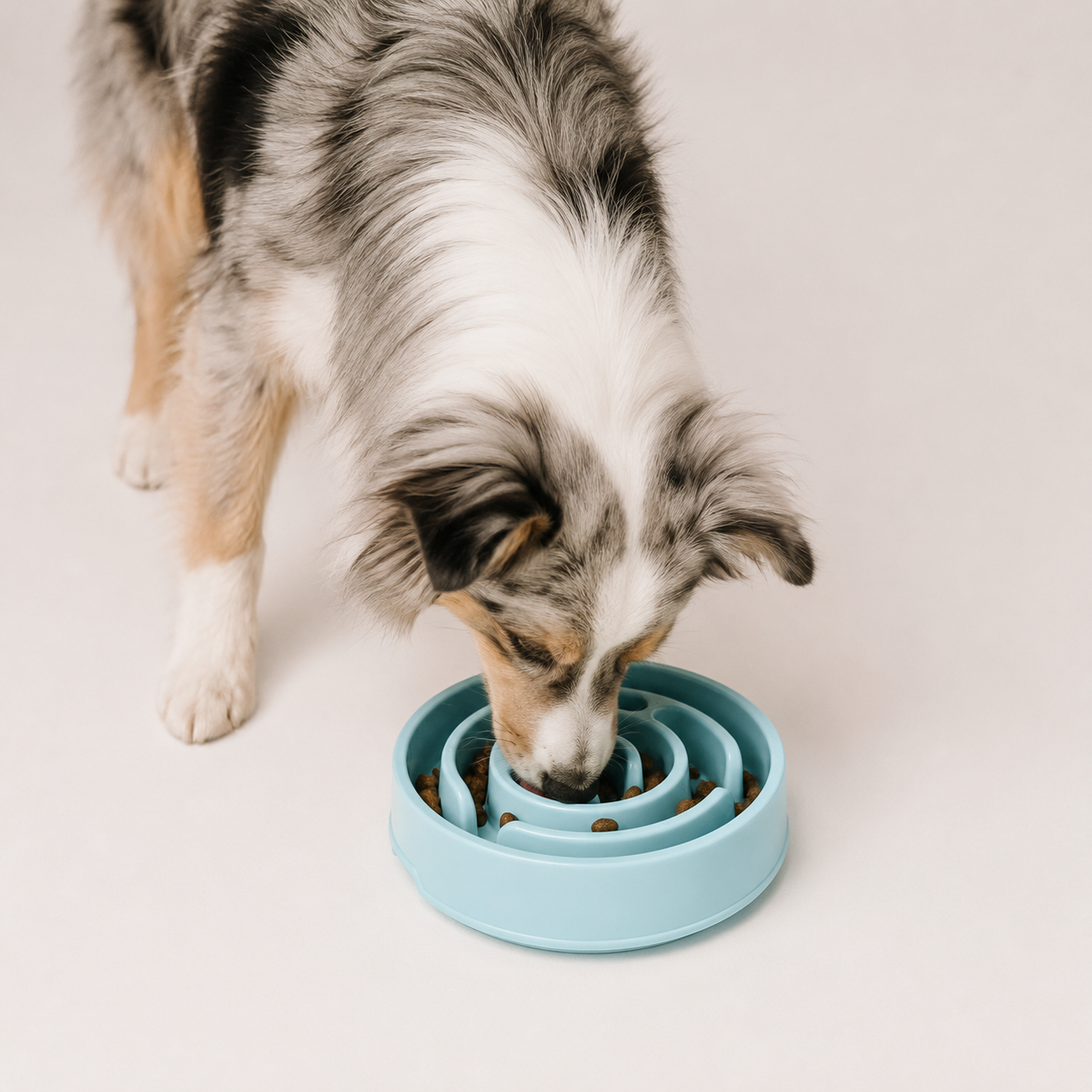Futterzubehör