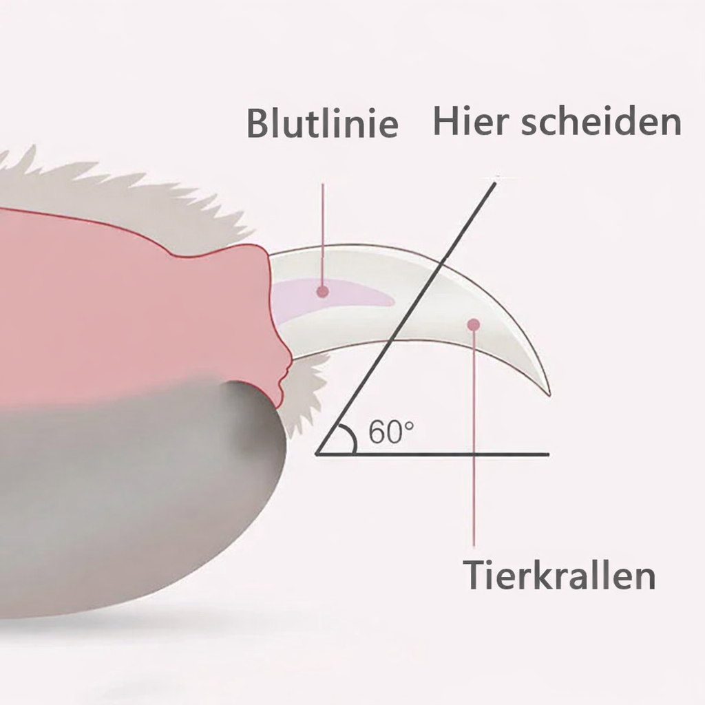 Krallenschere mit Licht in Hellblau