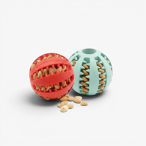 Futter-Kau-Ball für Hunde