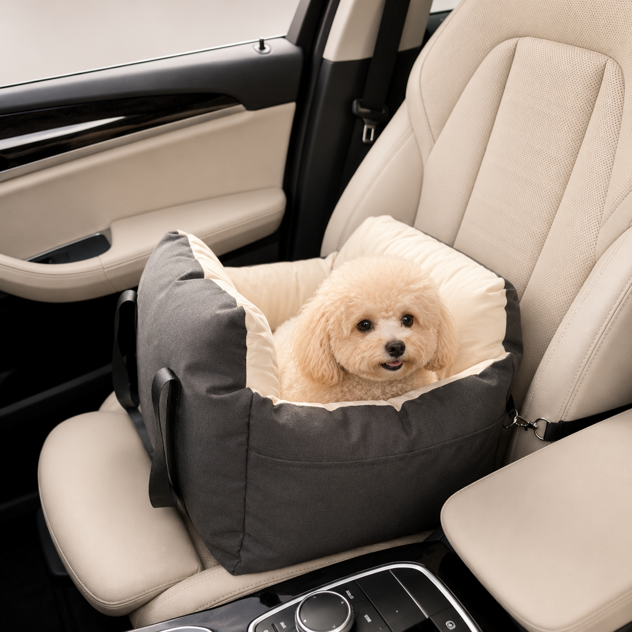 Kleiner Hund sitzt im Hundeautositz mit Gurt auf dem Autositz
