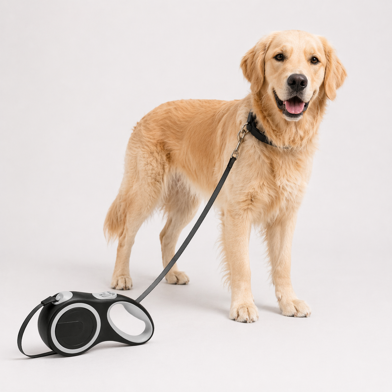 Großer Hund an der Flexileine beim Spaziergang