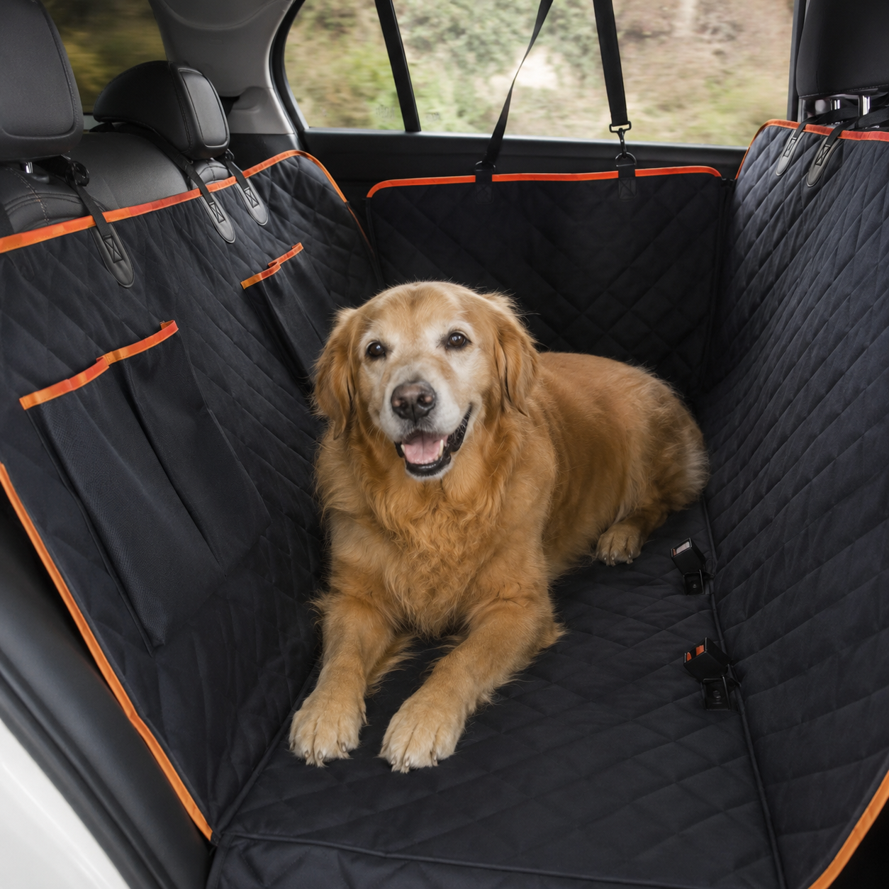 Hund liegt auf der Hundeschutzmatte im Auto