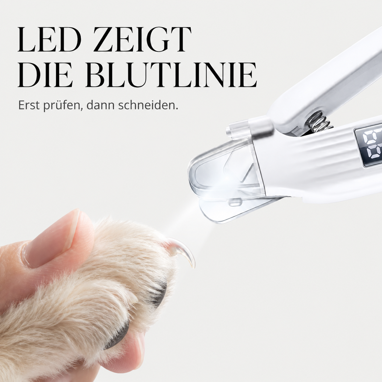 Krallenschneider mit Schleifer – LED beleuchtet die Blutlinie der Kralle