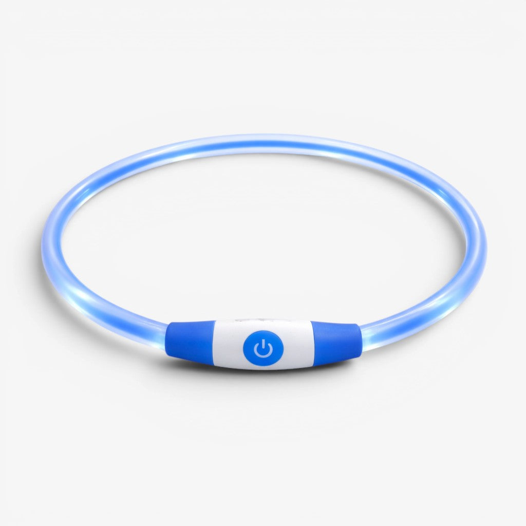 LED Hundehalsband in Blau