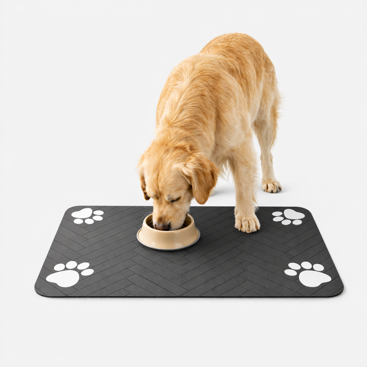 Hund am Futternapf auf der Napfunterlage